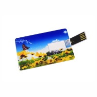 USB Flip Card