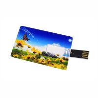 USB Flip Card