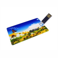 USB Flip Card