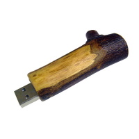 Twig Drive USB Stick